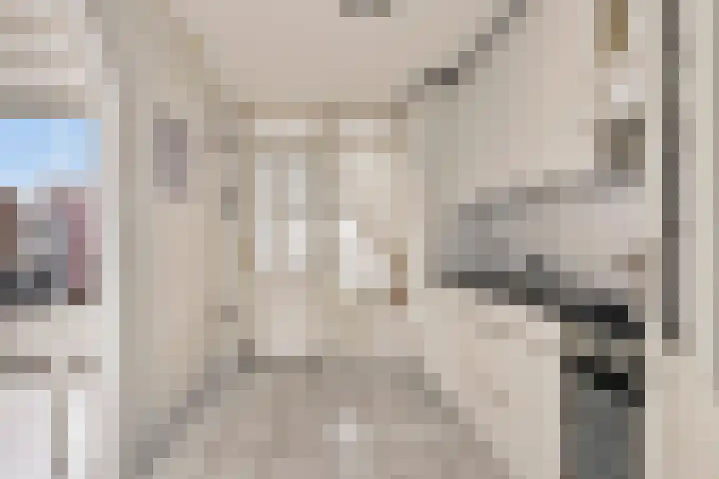 Veldstraat 30 Didam thumbnail 10