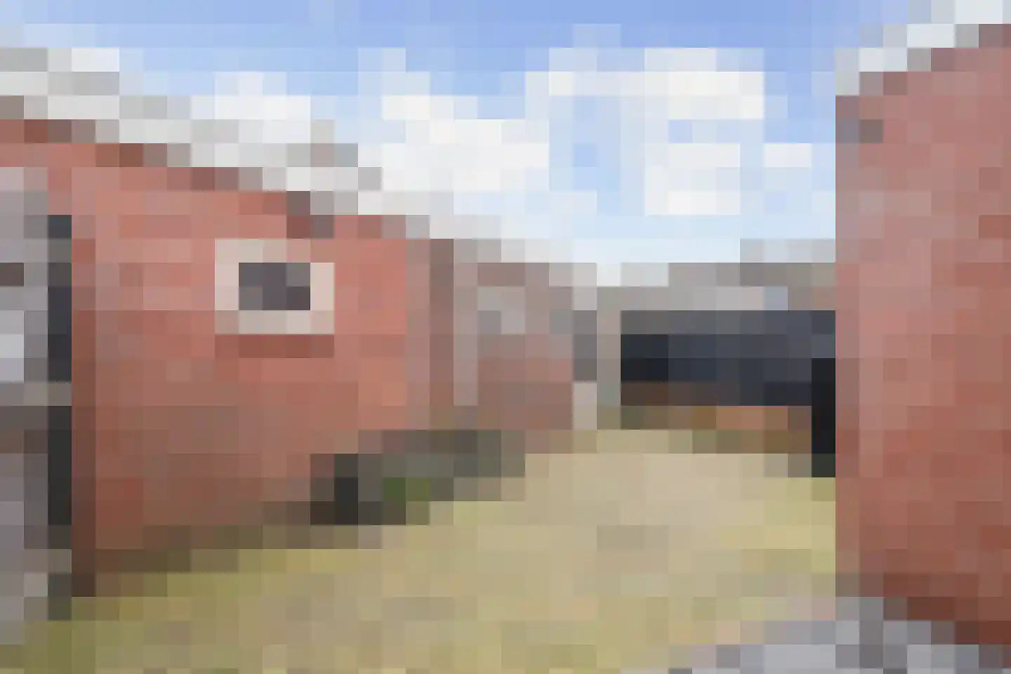 Veldstraat 30 Didam thumbnail 13