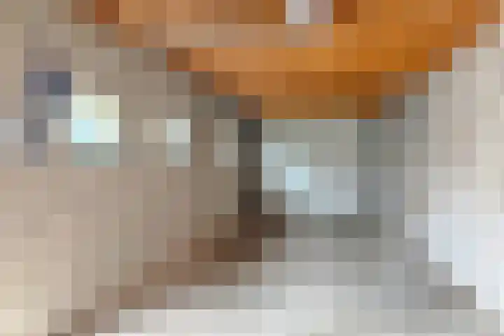 Veldstraat 30 Didam thumbnail 14