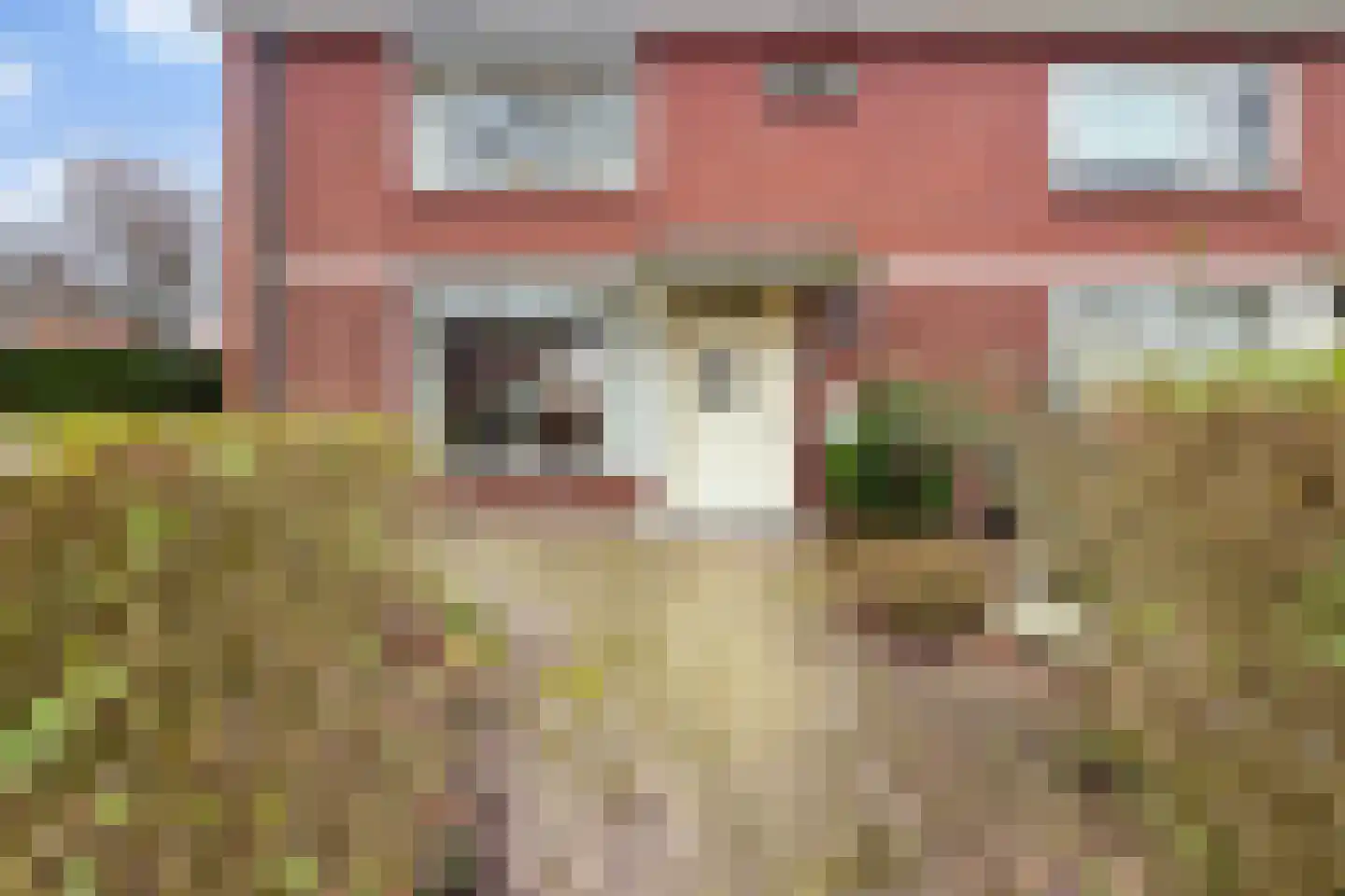 Veldstraat 30 Didam thumbnail 25