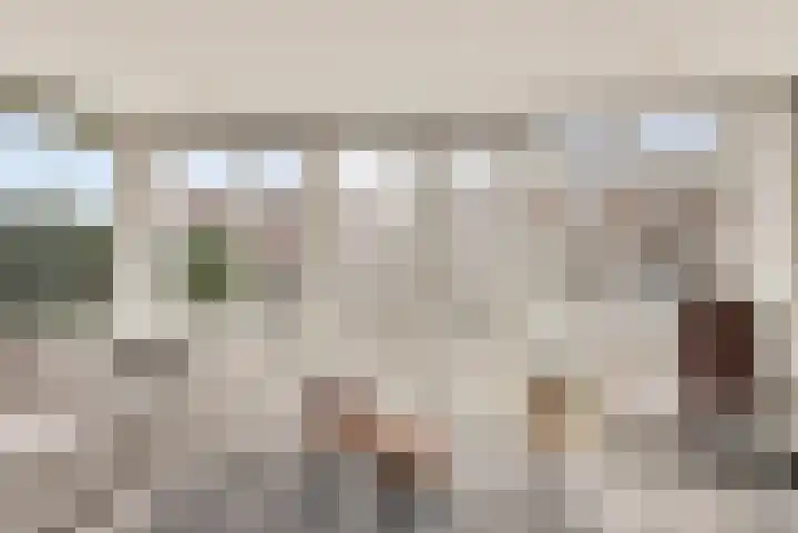 Veldstraat 30 Didam thumbnail 4