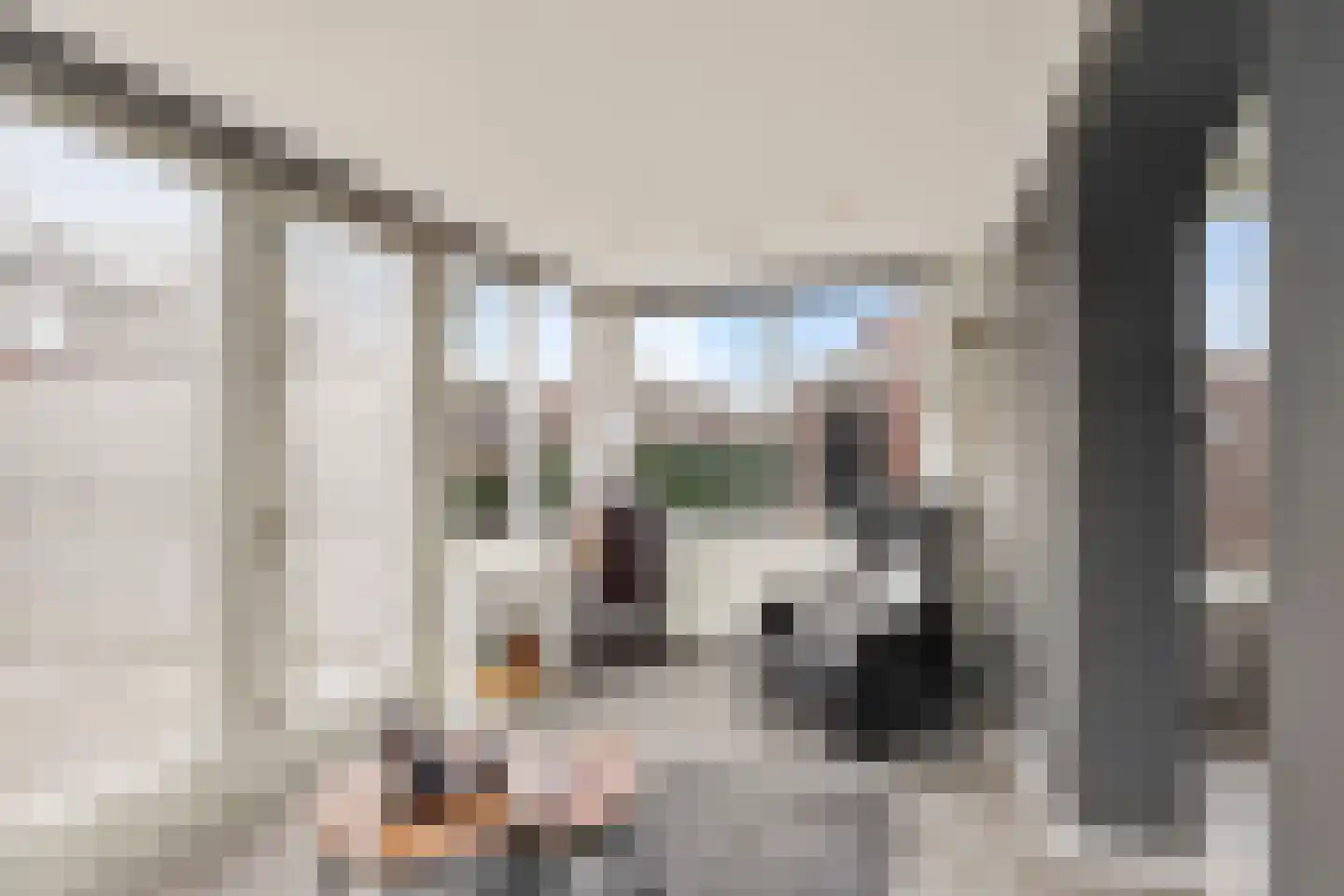 Veldstraat 30 Didam thumbnail 6