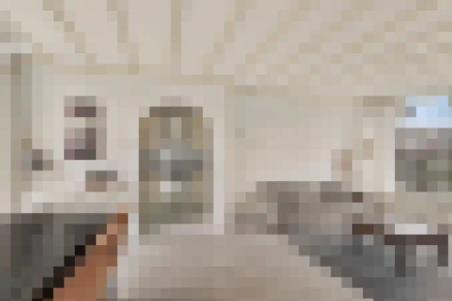 Veldstraat 30 Didam thumbnail 7