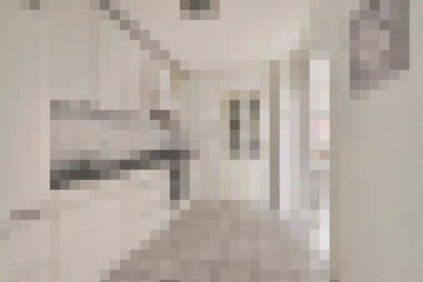 Veldstraat 30 Didam thumbnail 9