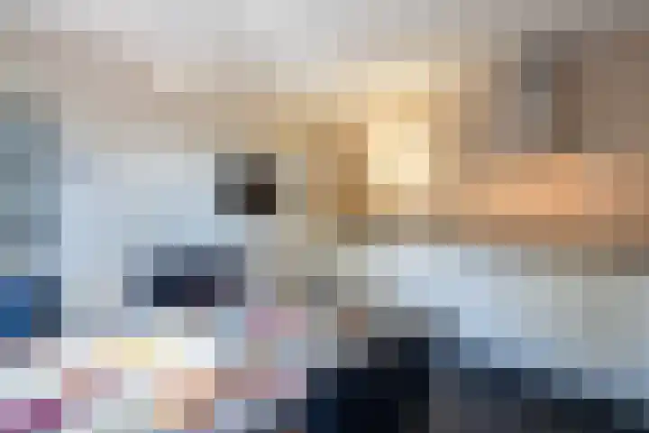 Veldstraat 30 Stramproy thumbnail 16