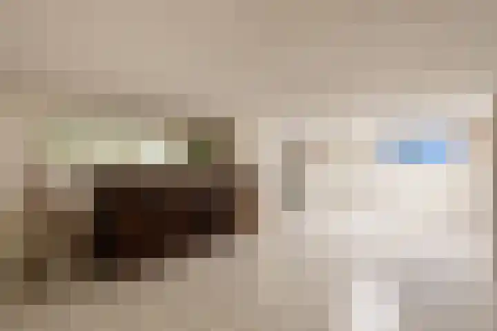 Veldstraat 30 Stramproy thumbnail 23