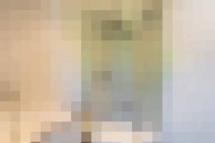 Veldstraat 30 Stramproy thumbnail 35