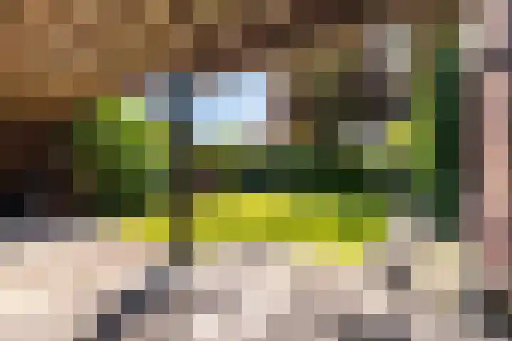Veldstraat 30 Stramproy thumbnail 40