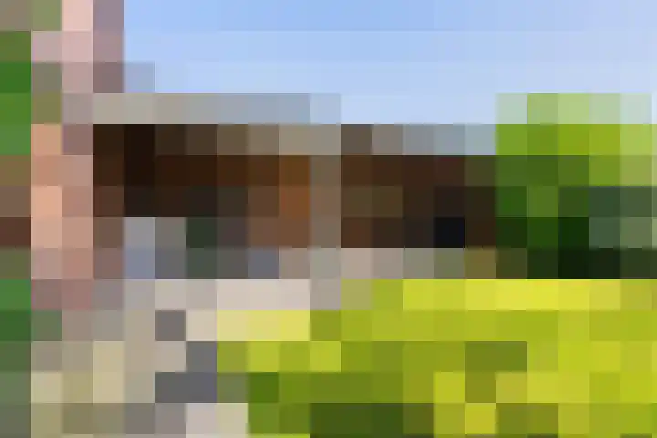 Veldstraat 30 Stramproy thumbnail 41