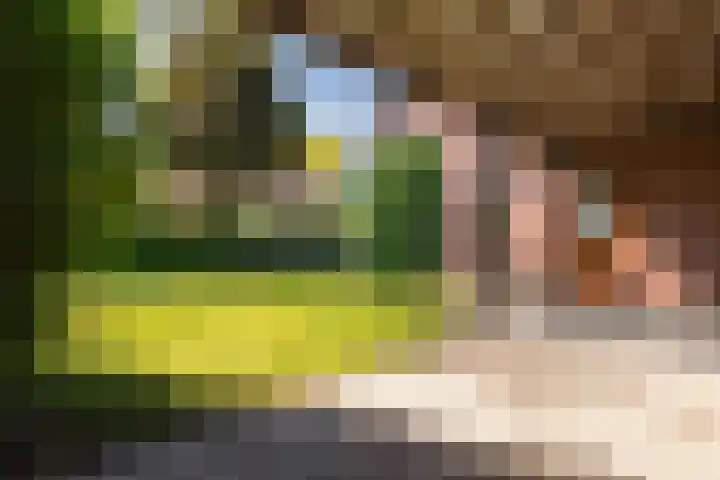 Veldstraat 30 Stramproy thumbnail 42