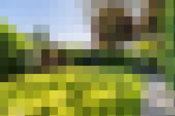 Veldstraat 30 Stramproy thumbnail 43