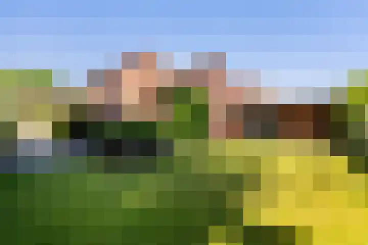 Veldstraat 30 Stramproy thumbnail 44