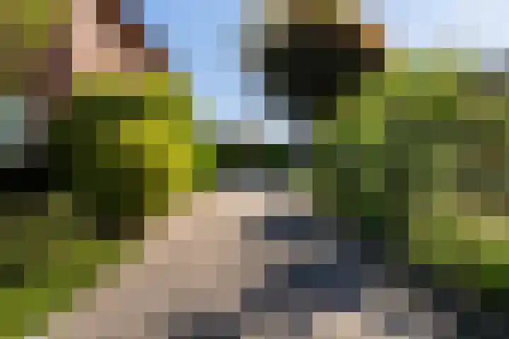 Veldstraat 30 Stramproy thumbnail 46