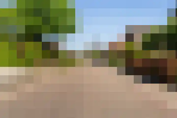 Veldstraat 30 Stramproy thumbnail 48