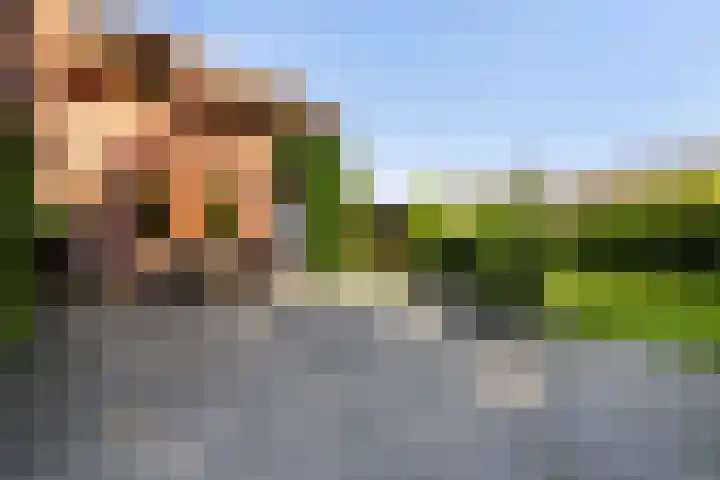Veldstraat 30 Stramproy thumbnail 5
