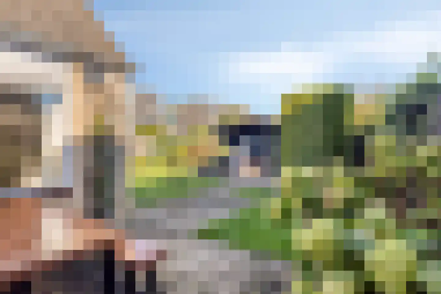 Veldstraat 34 Duiven thumbnail 31
