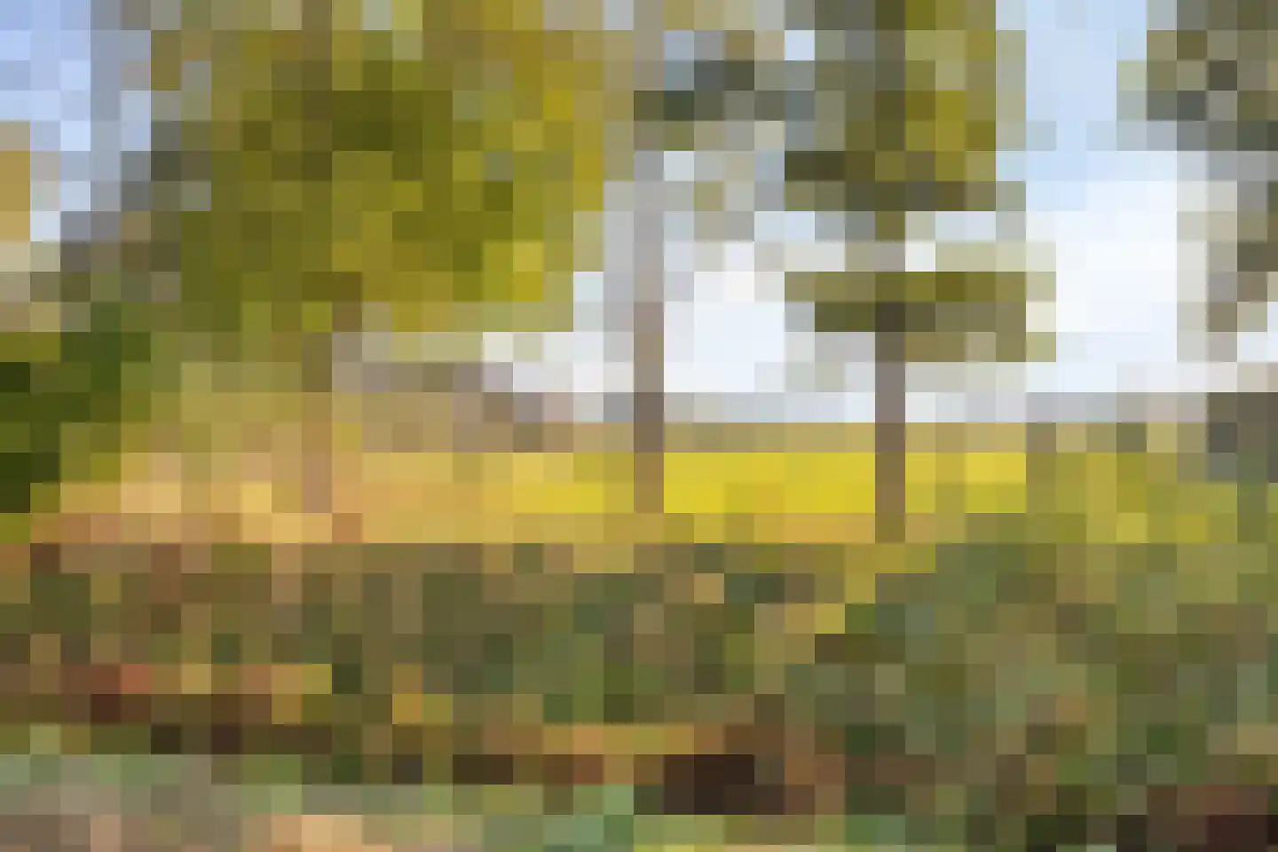 Veldstraat 34 Duiven thumbnail 42