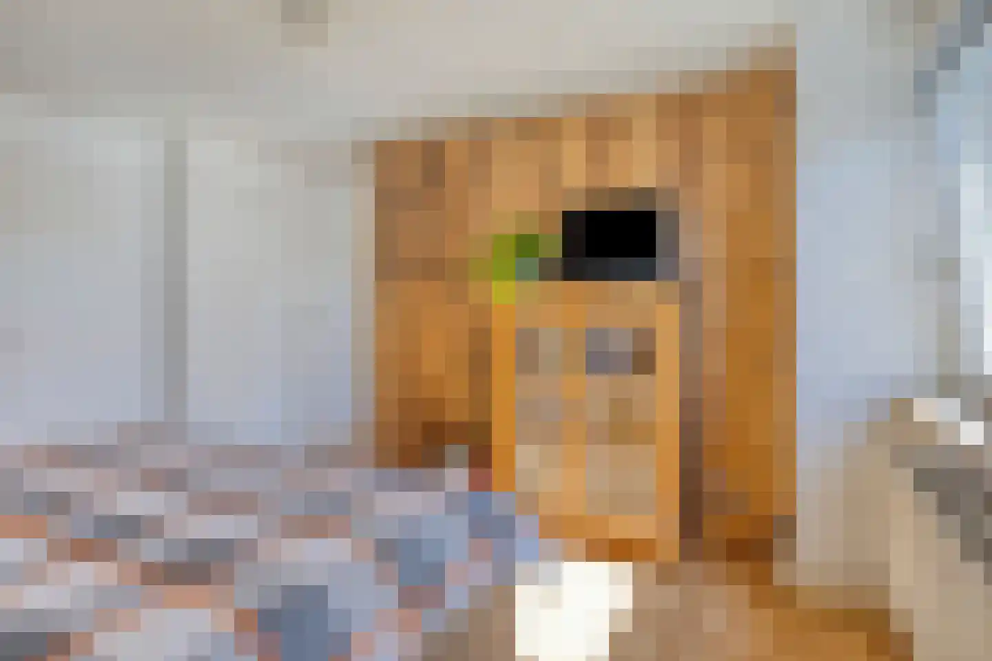 Veldstraat 38 Geffen thumbnail 30