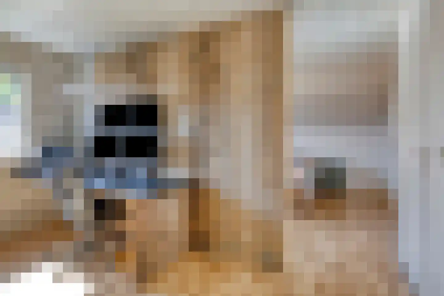 Veldstraat 38 Geffen thumbnail 32