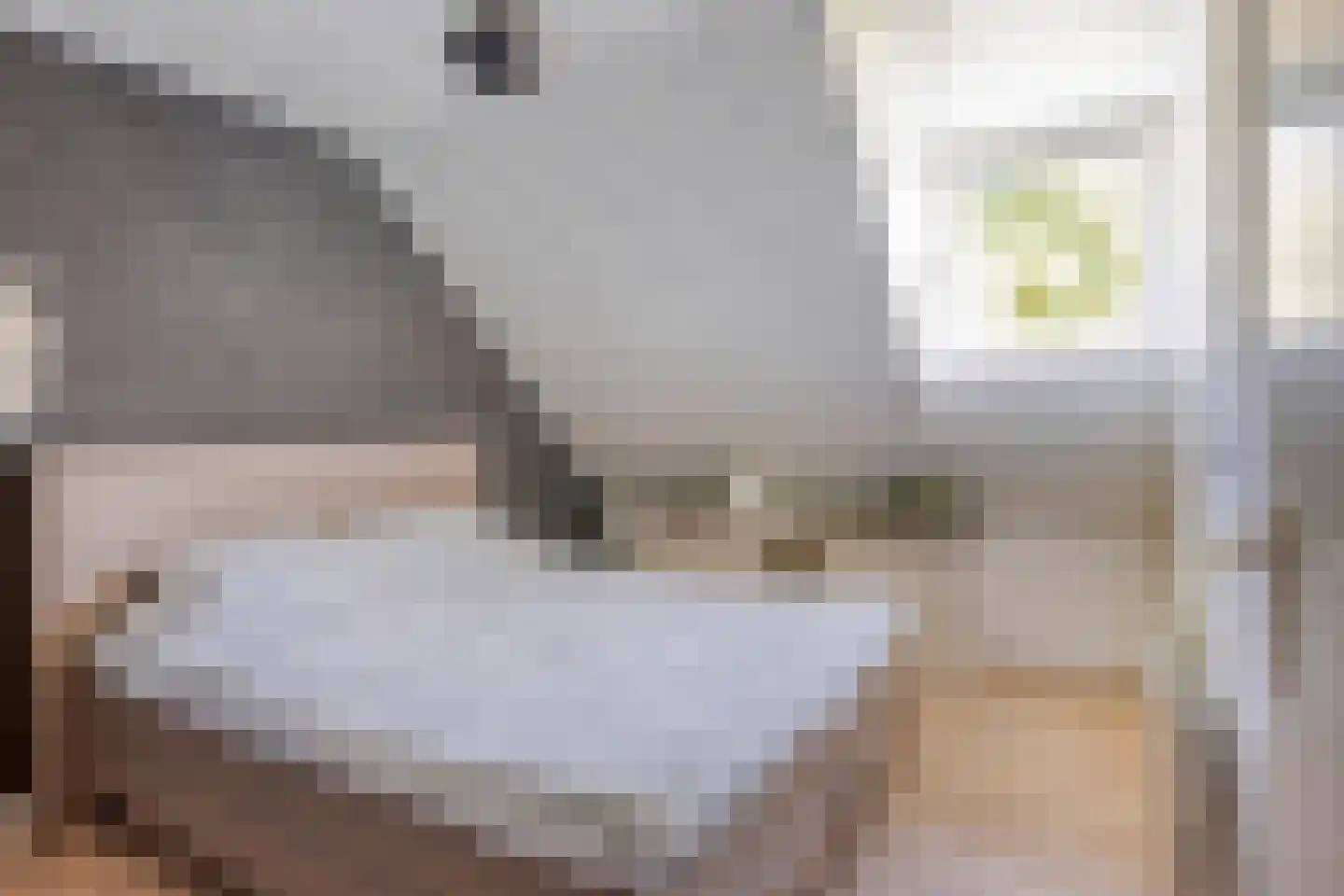 Veldstraat 38 Geffen thumbnail 36