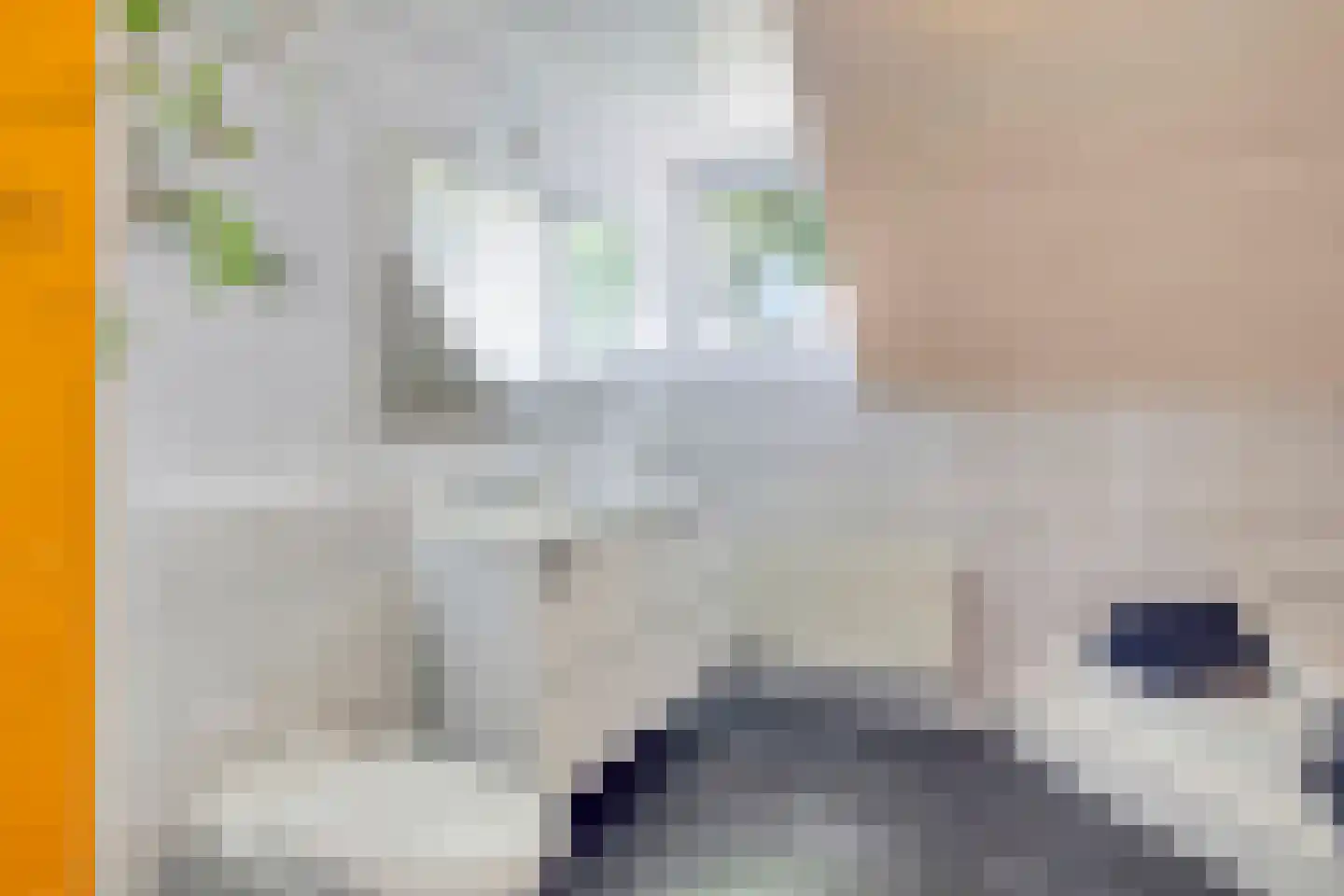 Veldstraat 38 Geffen thumbnail 39