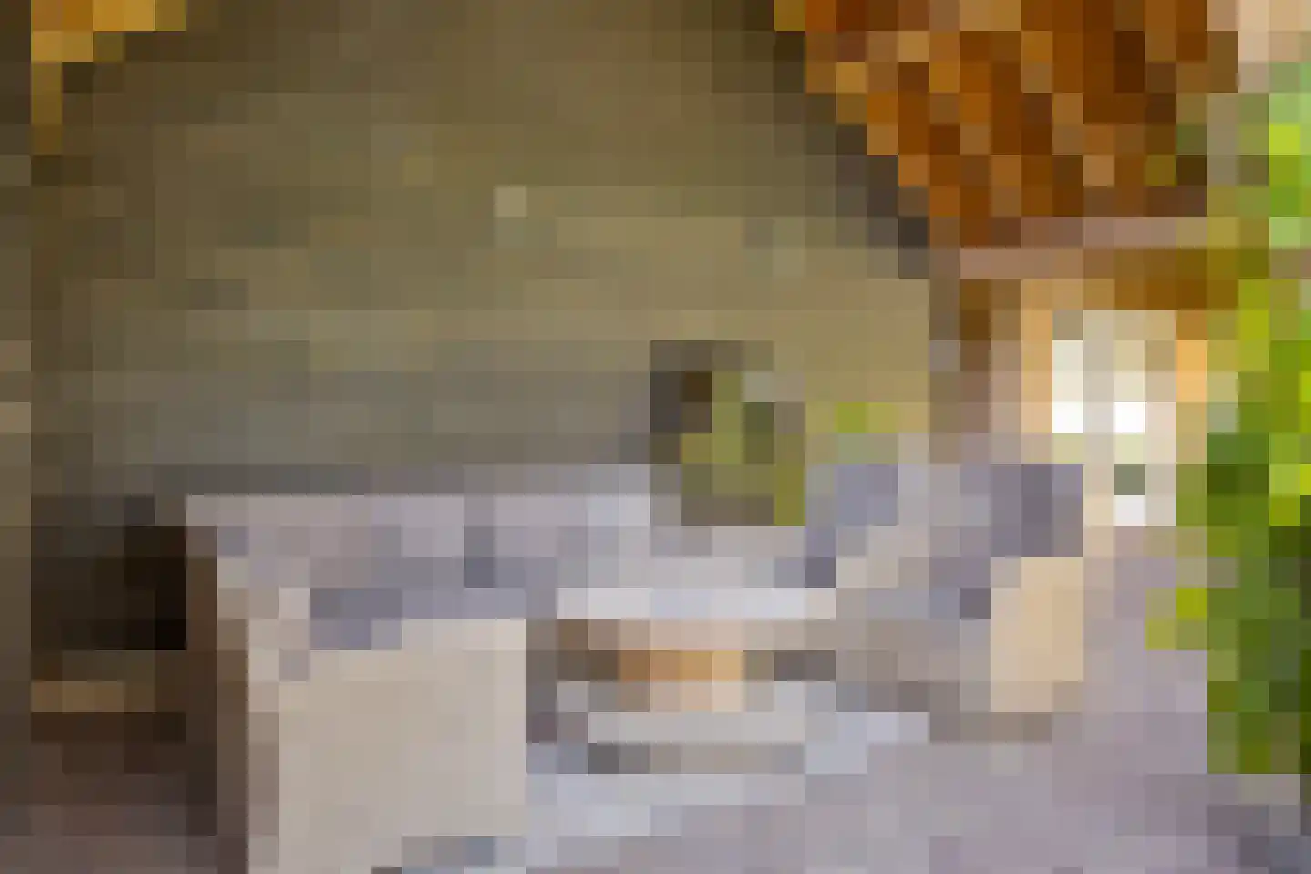 Veldstraat 38 Geffen thumbnail 44