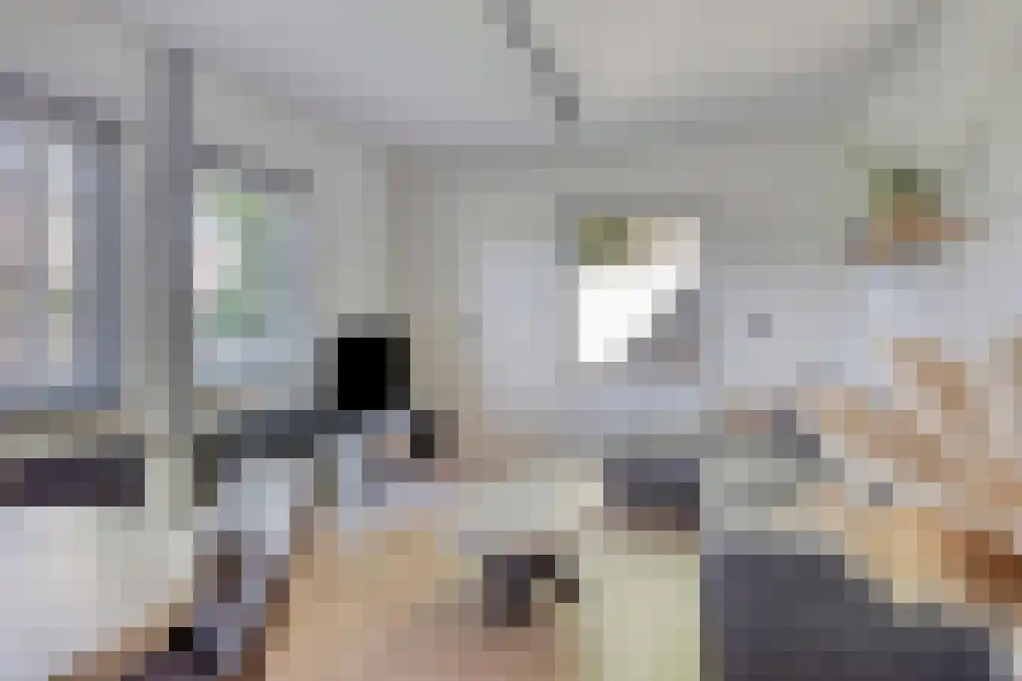 Veldstraat 38 Geffen thumbnail 55