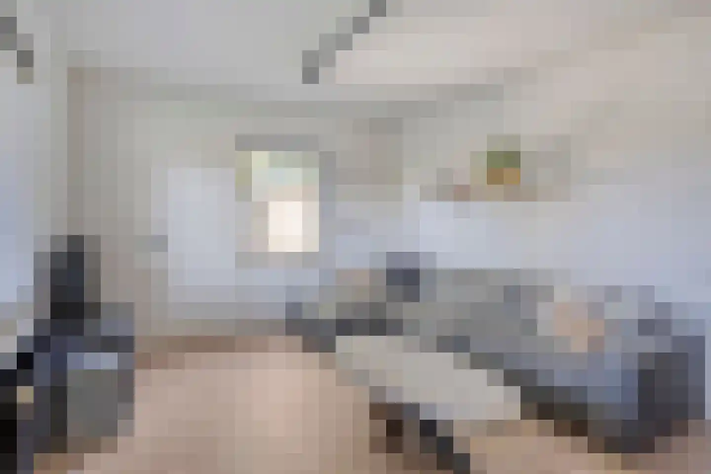 Veldstraat 38 Geffen thumbnail 56