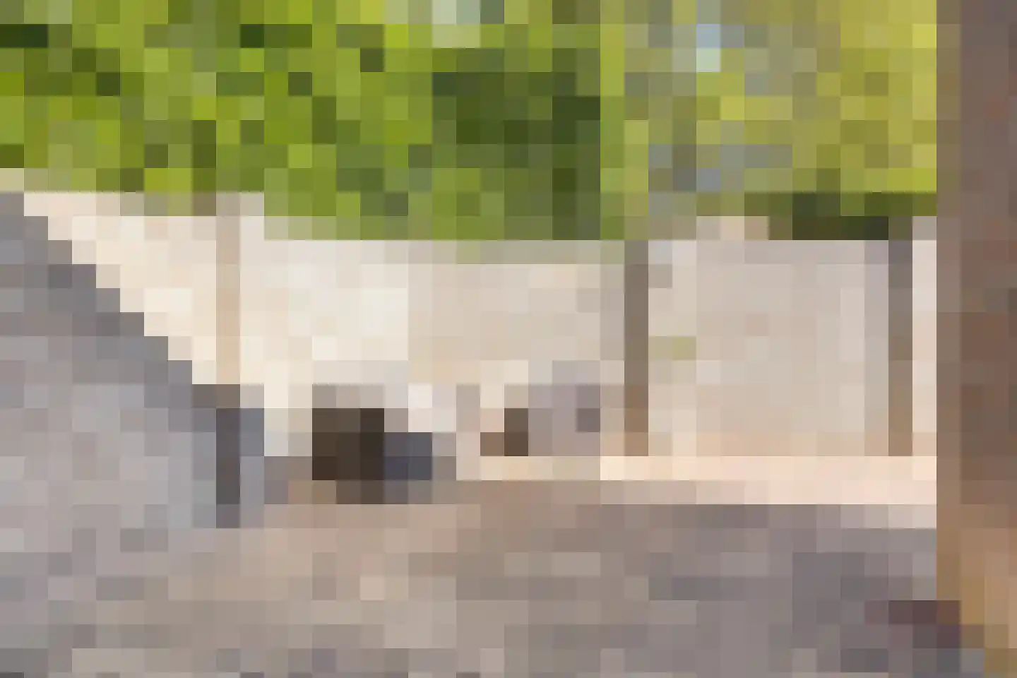 Veldstraat 38 Geffen thumbnail 63