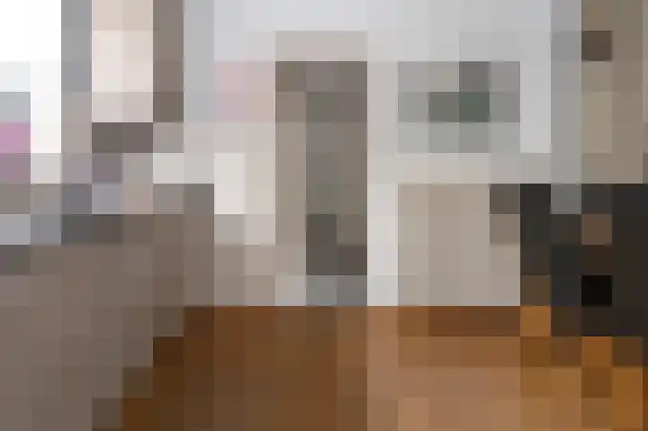 Veldstraat 39 Stramproy thumbnail 13