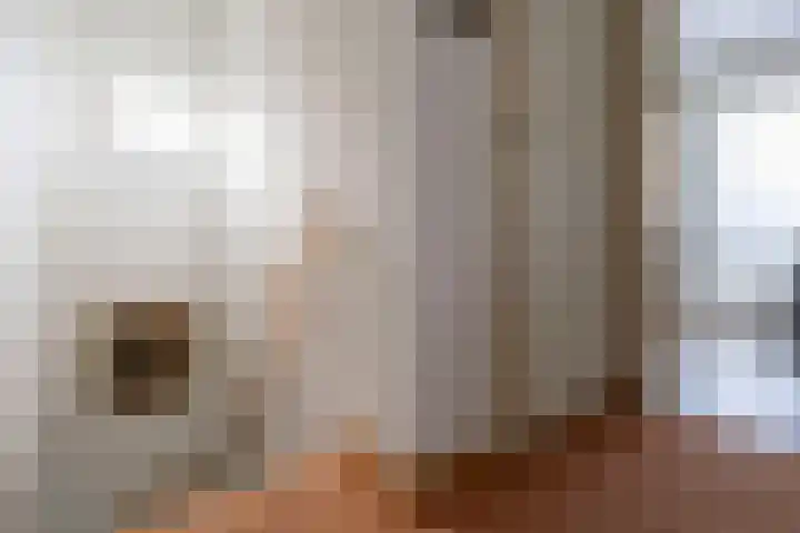 Veldstraat 39 Stramproy thumbnail 16