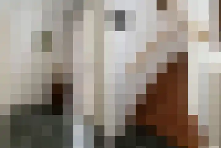 Veldstraat 39 Stramproy thumbnail 17