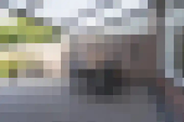 Veldstraat 39 Stramproy thumbnail 28