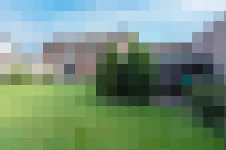 Veldstraat 39 Stramproy thumbnail 31