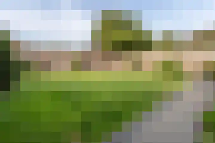Veldstraat 39 Stramproy thumbnail 32