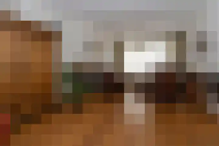 Veldstraat 39 Stramproy thumbnail 5