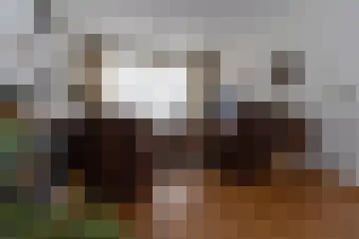 Veldstraat 39 Stramproy thumbnail 6
