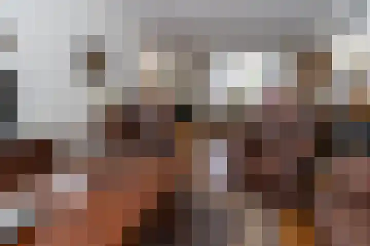 Veldstraat 39 Stramproy thumbnail 7