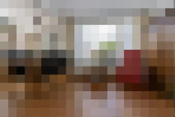 Veldstraat 39 Stramproy thumbnail 8
