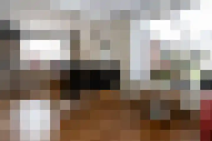 Veldstraat 39 Stramproy thumbnail 9