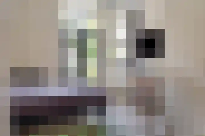 Veldstraat 4 J Nijmegen thumbnail 17