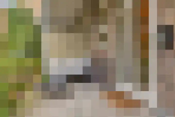 Veldstraat 4 J Nijmegen thumbnail 26
