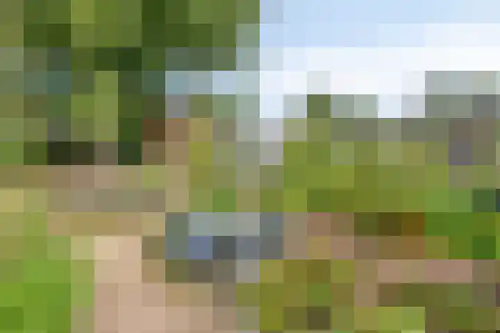 Veldstraat 4 J Nijmegen thumbnail 29