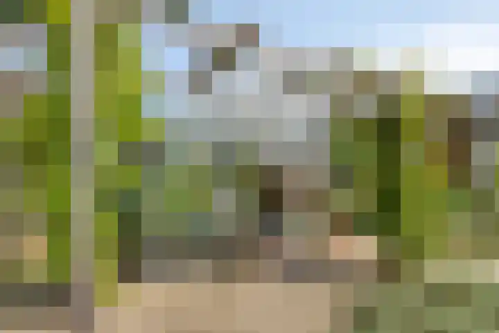 Veldstraat 4 J Nijmegen thumbnail 32