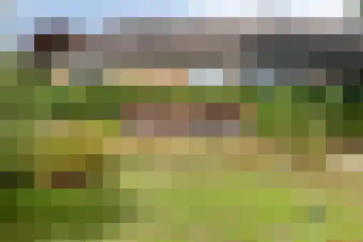 Veldstraat 4 J Nijmegen thumbnail 33
