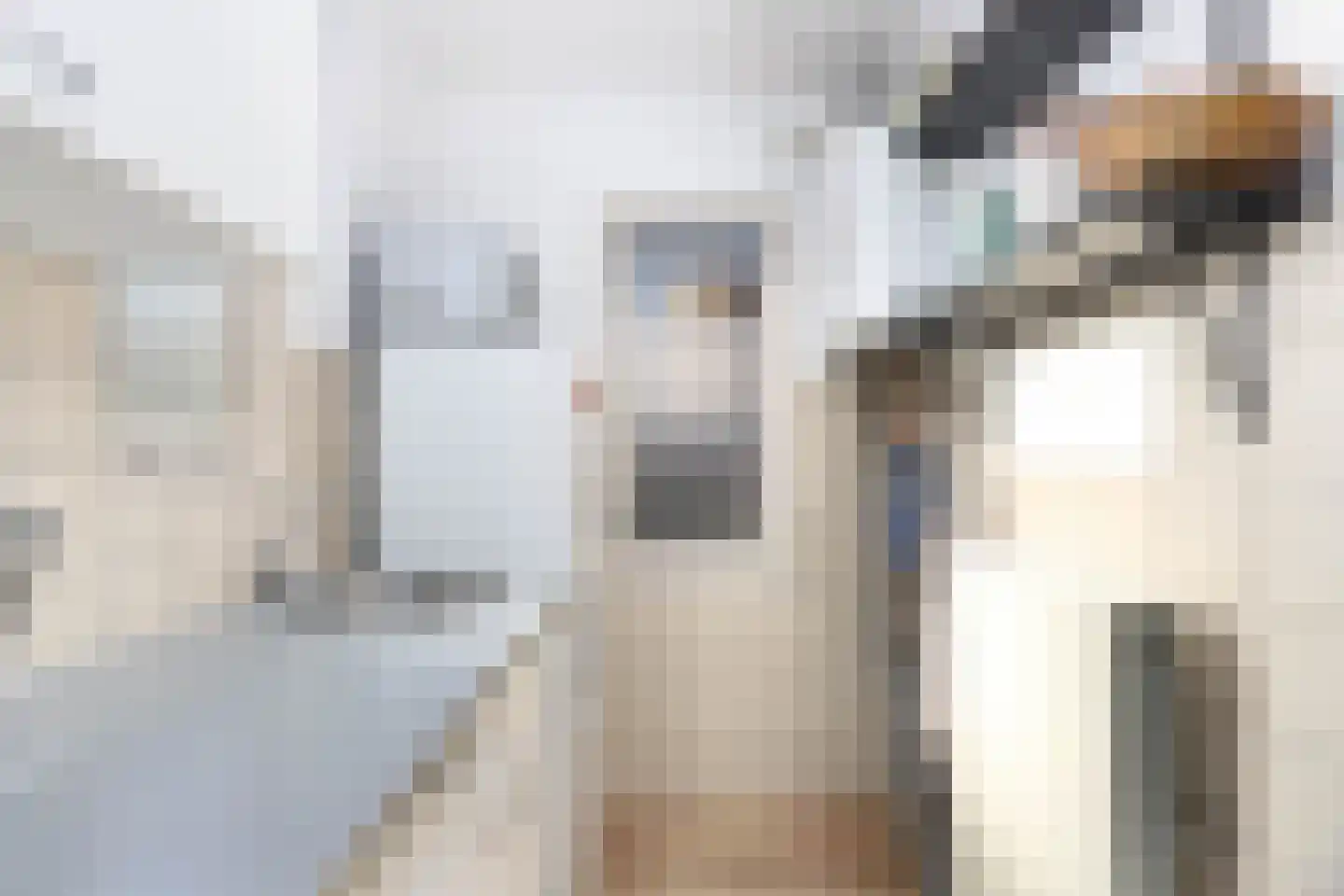 Veldstraat 4 Utrecht thumbnail 8