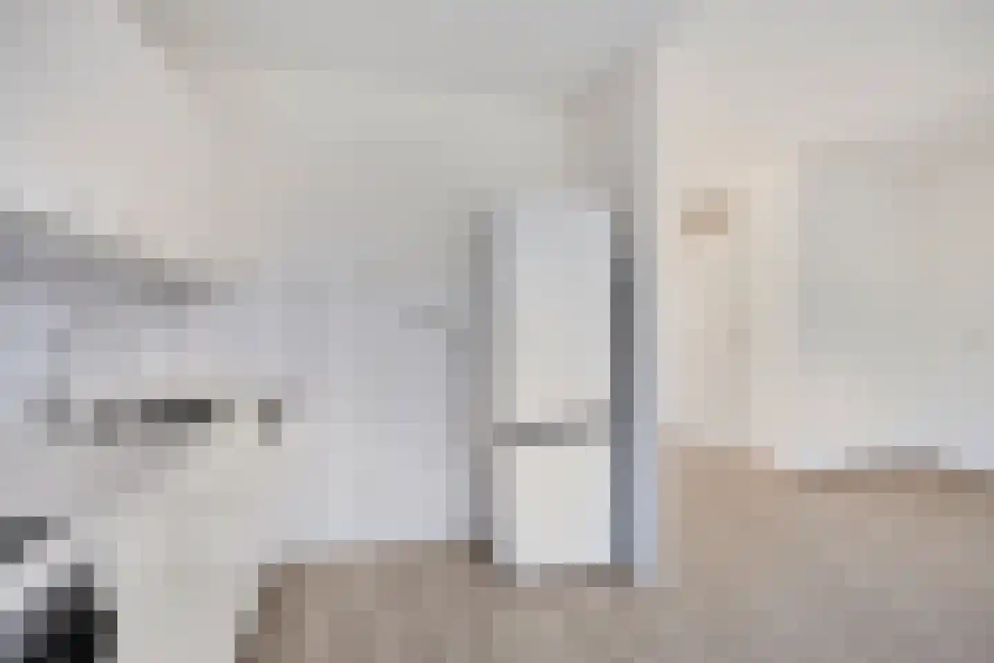 Veldstraat 42 Duiven thumbnail 17