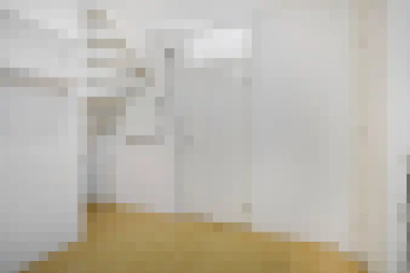 Veldstraat 42 Duiven thumbnail 32