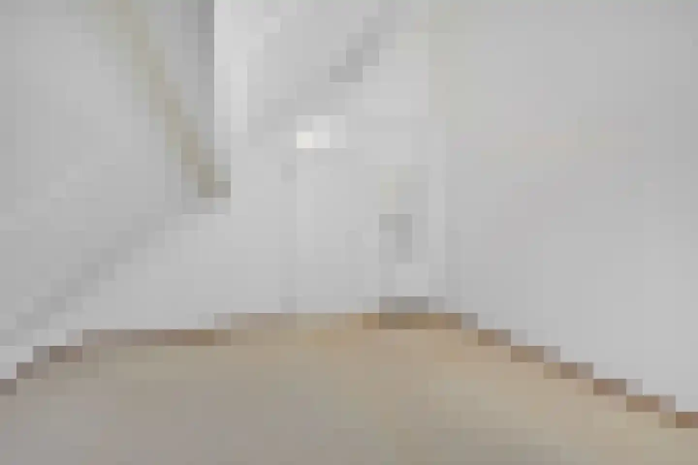 Veldstraat 42 Duiven thumbnail 42