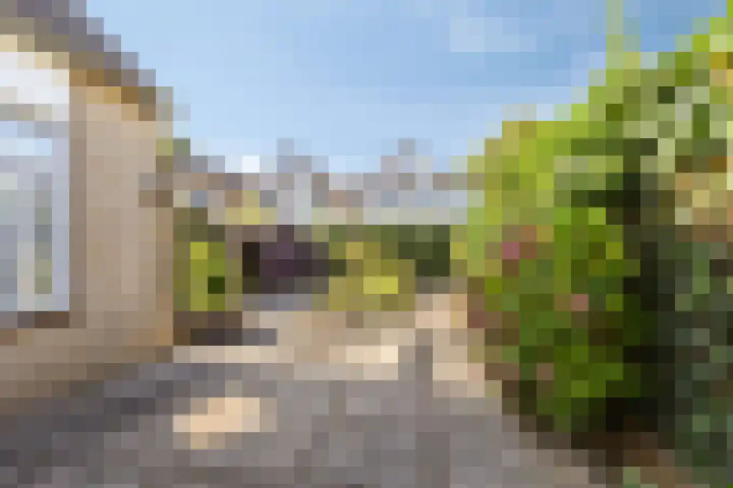 Veldstraat 42 Duiven thumbnail 47